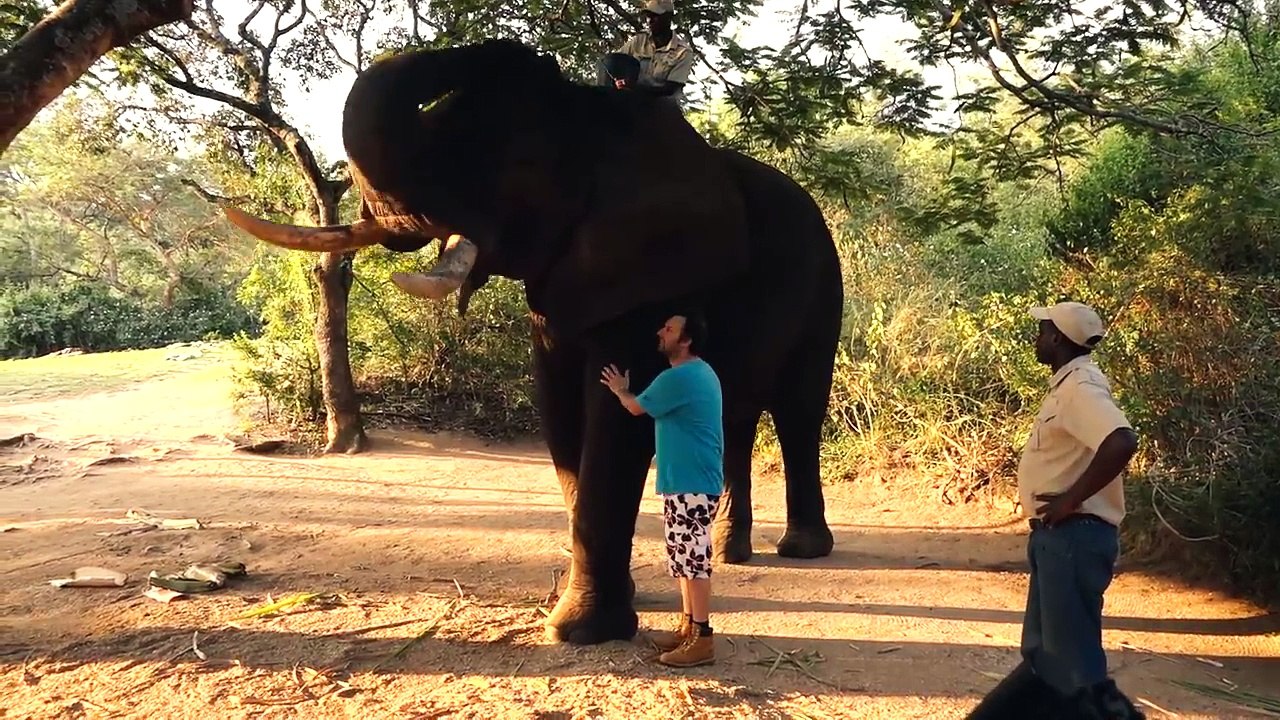 1000PS Test - Pirelli Diablo Rosso Corsa II