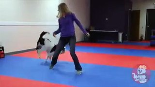 A BEUTIFUL GIRL PLAYING WITH DOG WATCH DONT MISS