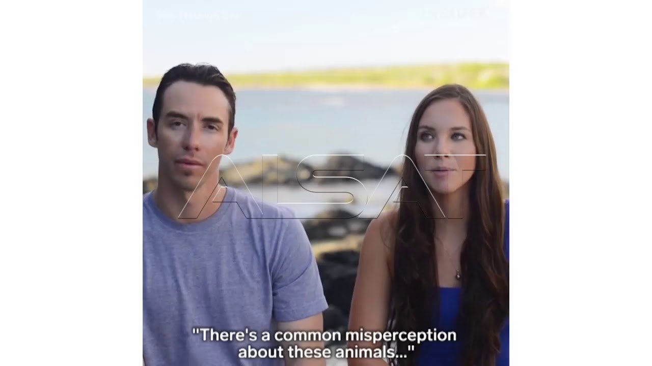 Фотографи на подводниот свет на Хаваите