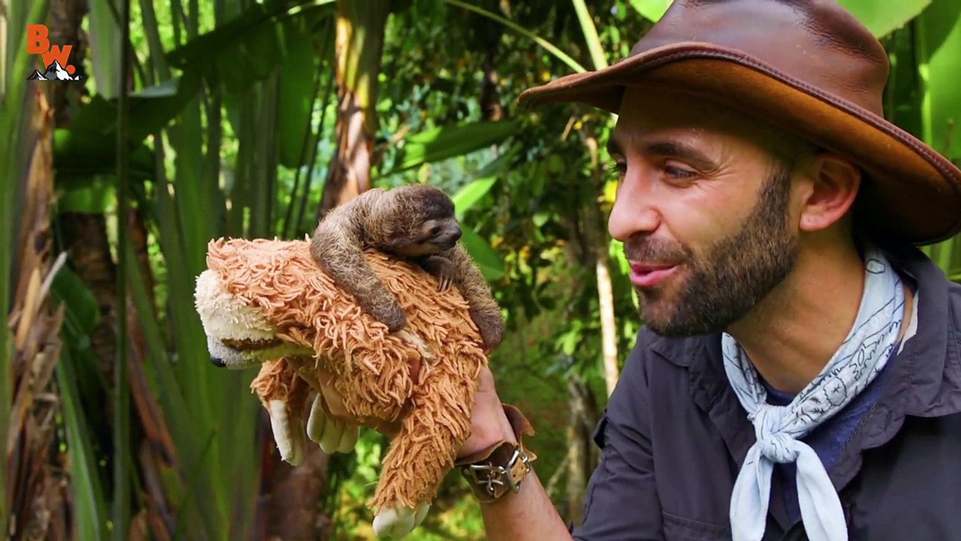 WORLD FAMOUS SLOTH…gives tiny kisses!