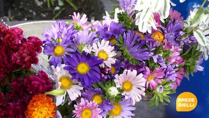 Report Tv - Rreze Dielli, Valbona ,ekonomistja qe shet lule ne rruge