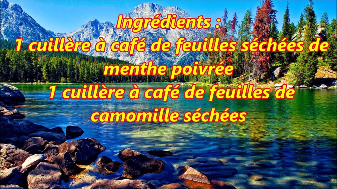 Meilleurs thés pour une digestion saine et équilibrée