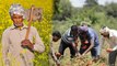 Modi Government से नाराज Farmers 'Seal' करेंगे Village,नहीं होगी Vegetables Supply | वनइंडिया हिंदी