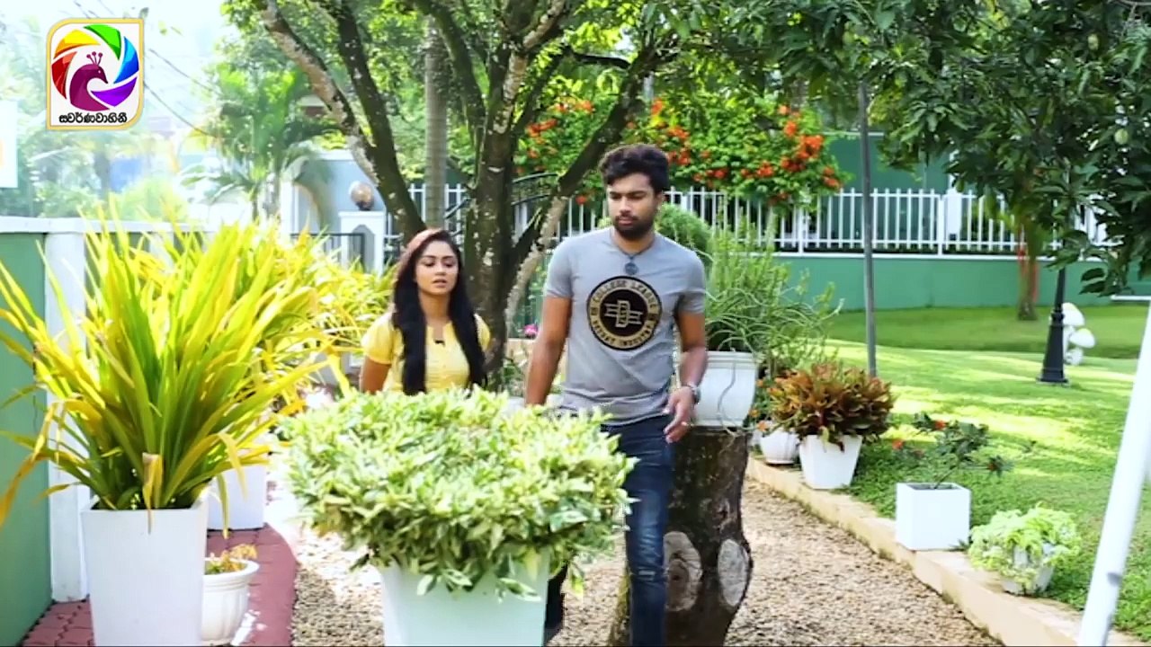 Paara Episode 27  || පාරා    . . . | සතියේ දිනවල රාත්‍රී 7.30 ට . . .