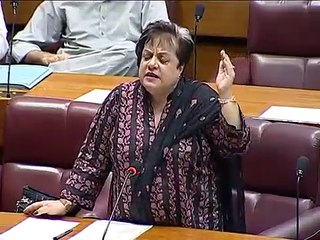 Dr Shireen Mazari's response on pathetic comments of PML-N Ministers in National Assembly