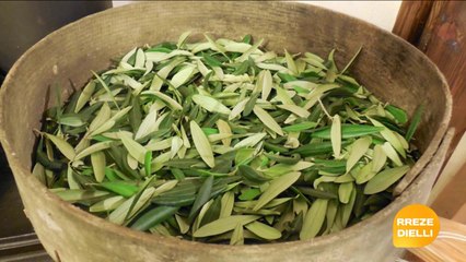 Report Tv-Rreze Dielli, E ftuar Silvana Subashi "Gjethet e ullirit"