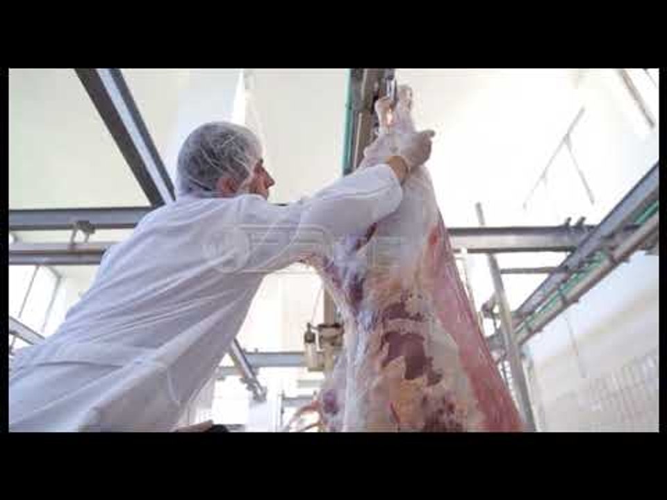 Për herë të parë - Thertore publike në Tiranë, Veliaj: Rrit cilësinë dhe ul çmimin e mishit