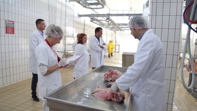 Hapet thertorja e parë publike në Tiranë - Top Channel Albania - News - Lajme