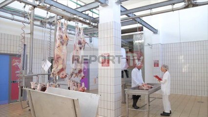 Report TV - Hapet thertorja e parë publike,Veliaj: Kërkoni certifikatat e mishit