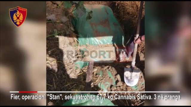 Report TV - Fier, sekuestrohen 68 kg kanabis arrestohen 3 persona
