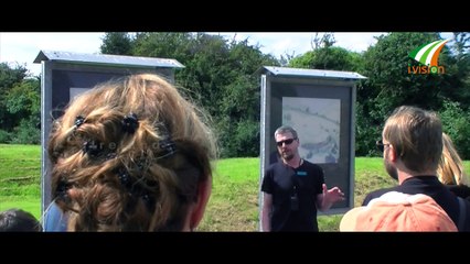 Knowth & Newgrange Megalithic Passage Tomb by  Ivision Ireland