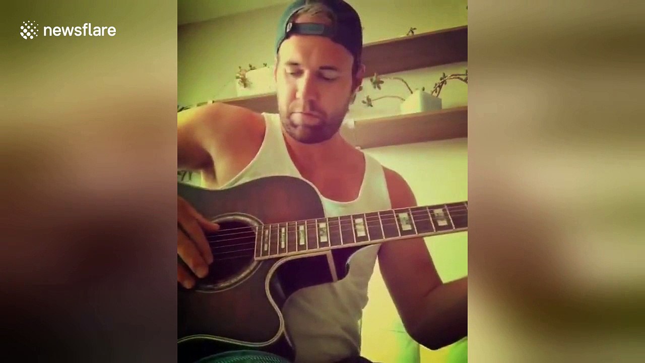 Cute cat cuddles up to owner when he plays guitar