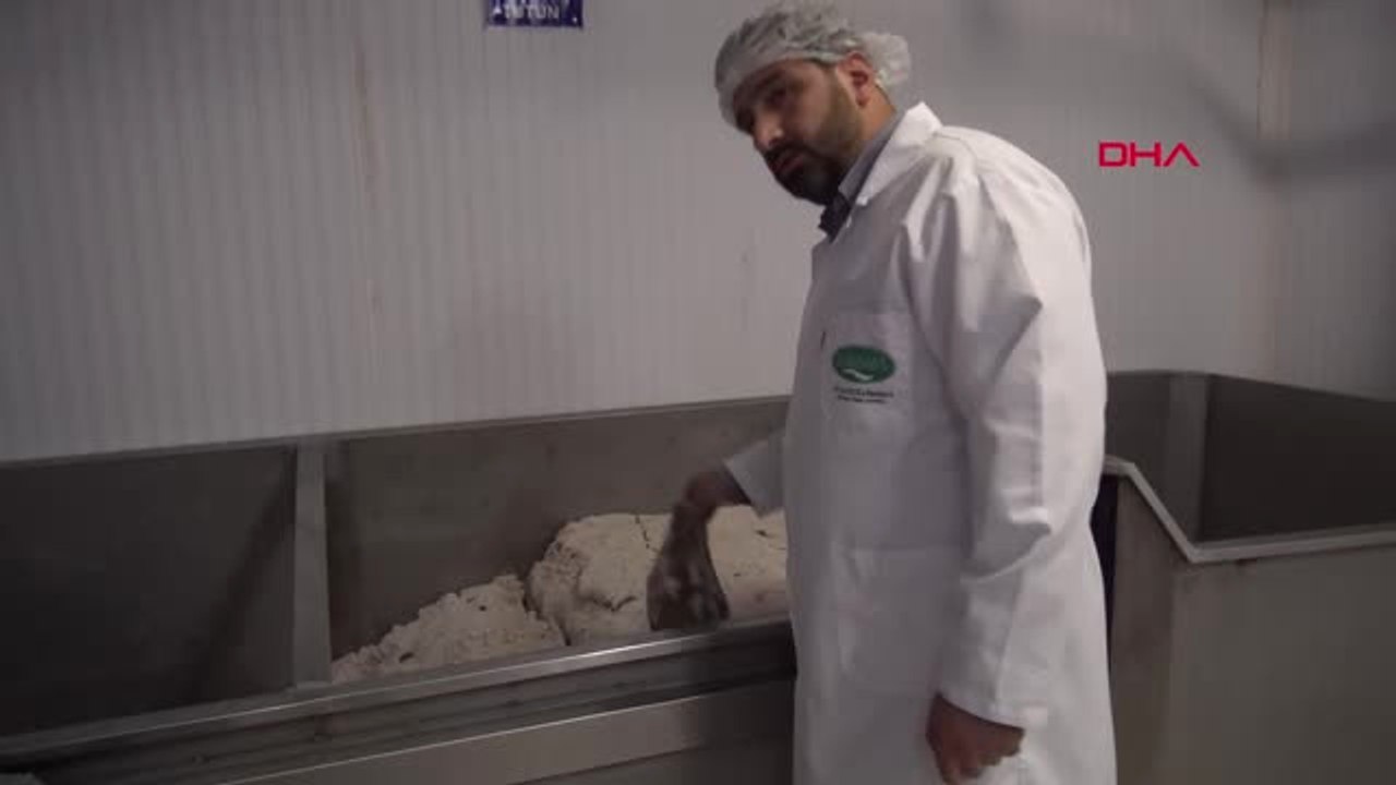 Tokat'tan Katar'a 'Bez Sucuk' İhracatı -Hd