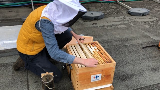 Des ruches sur le toit de Carrefour