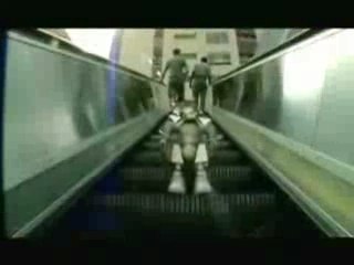 sum 41 walking disaster