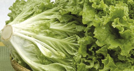 ABD'de Maruldaki Koli Basili Yüzünden 1 Kişi Öldü