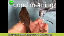 Ek Bar Tu Aa Sahi ll Kheshari Lal Yadav ll Satyam Music Bhojpuriya Whatsapp ​ll Bhojpuri Version