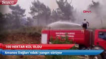 Amanos Dağları’ndaki yangın sürüyor, 100 hektar kül oldu