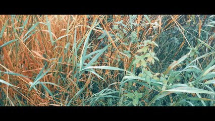 Samsung Galaxy S7 EDGE - Cinema 4K (51)