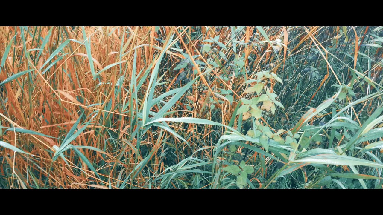 Samsung Galaxy S7 EDGE - Cinema 4K (51)