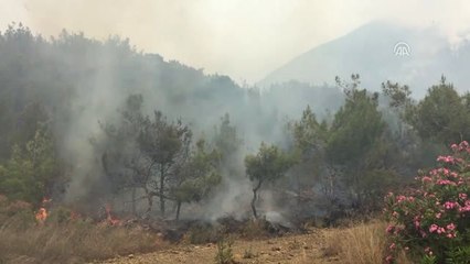 Üç Gündür Söndürülemiyor! Amanos Dağları'nda 100 Hektar Kül Oldu