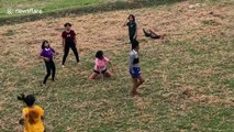 Twerking party-goers in rural Thailand chased away by herd of COWS