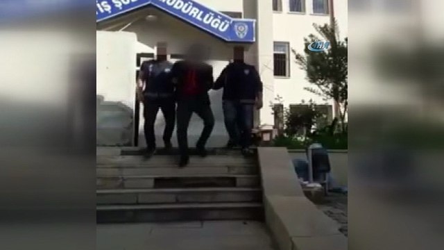 Minibüsle büyükbaş hayvan hırsızlığı