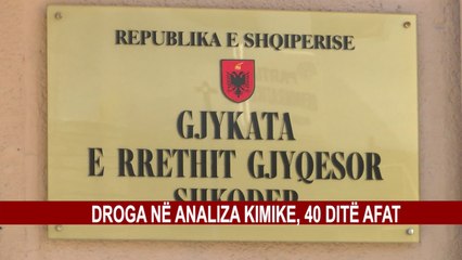 ARREST ME BURG PËR SHPËRNDARËSIN E DROGËS