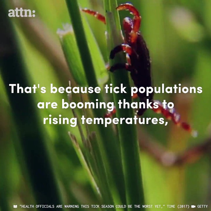 Tick bites are getting really scary.