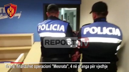 Report TV - U rrëmbenin celularët nga duart qytetarëve te liqeni, 4 në pranga