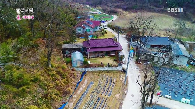 한국기행 - Korea travel_봄, 비비다 4부 예쁜 봄 맛있는 봄_#001