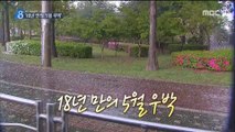 [영상] 18년 만의 '5월 우박'