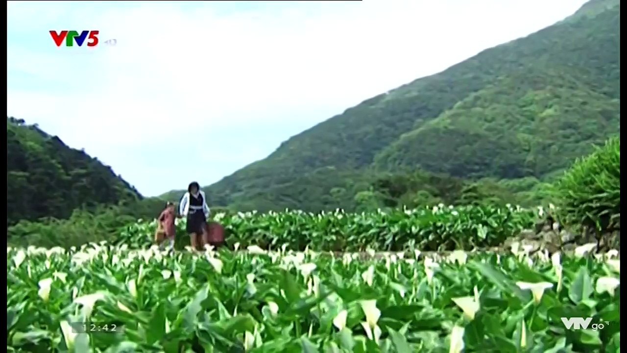 Tìm lại tình yêu - Tập 48