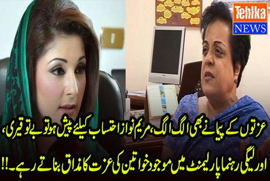 Mehar Abbasi's Critical Analysis on PMLN Leaders Abusive Language Against Women