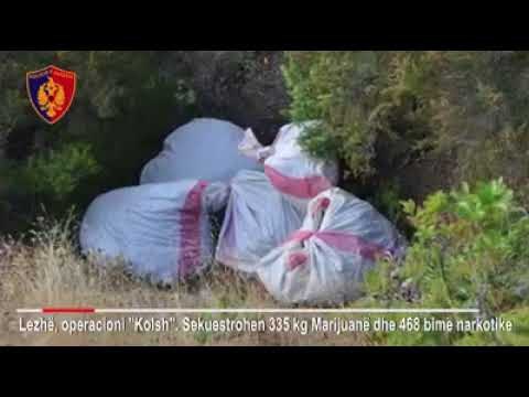 Ora News - Lezhë - Sekuestrohen 335 kg kanabis në proces tharje, 3 të arrestuar