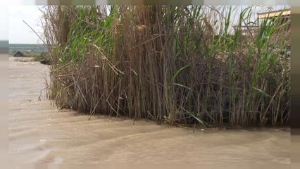Autriche: un meurtrier présumé voulait "goûter" le cadavre de la victime