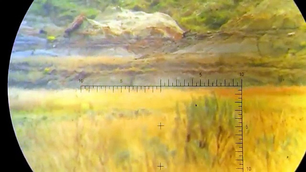 Scopes for ULTRA LONG RANGE - IOR Valdada CRUSADER & TERMINATOR - Rex Reviews