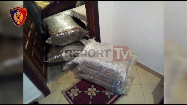 Report TV - Memaliaj, kapen 64 kg kanabis në pranga 50-vjeçari