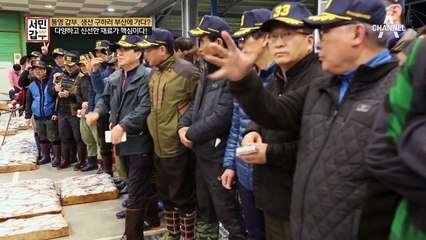 통영에서 부산까지! 신선한 생선을 구하러 가족 모두 출동!