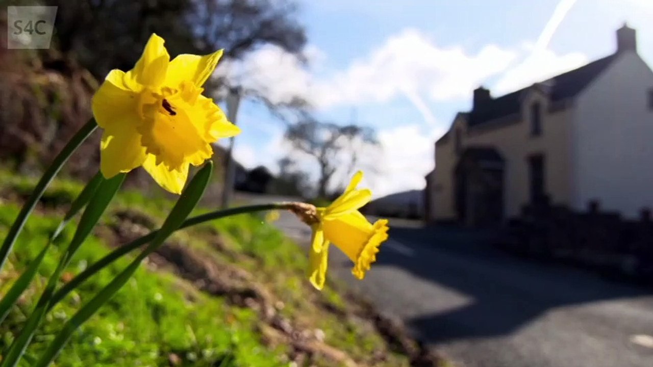 Dechrau Canu Dechrau Canmol.s01e01.Diolch