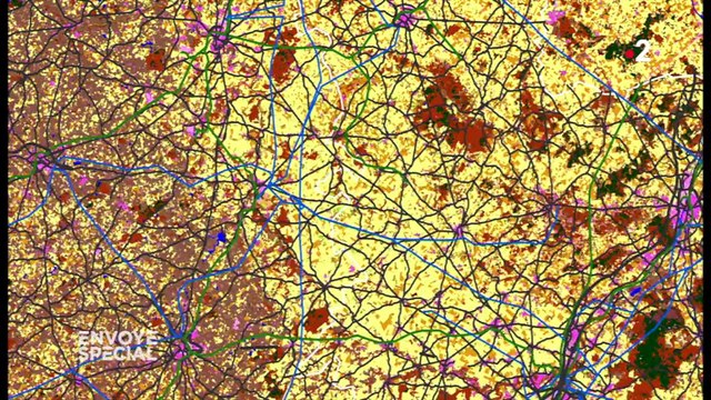 Vers la sixième extinction animale de la planète ?