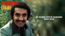 Atakan Çelik - Ne Sevdiğin Belli Ne Sevmediğin / Nenni Nenni (45'lik)