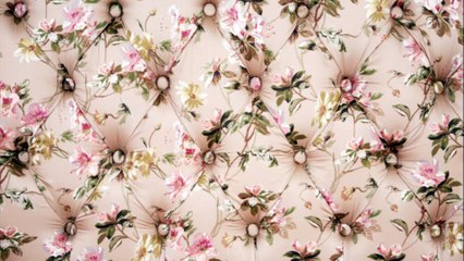 Xtreme Indoor Outdoor Cleaning LLC - (407) 326-8414