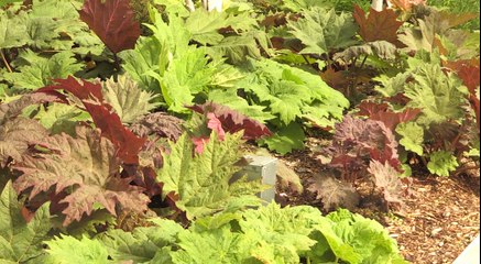 Have you ever cheated? Part 2