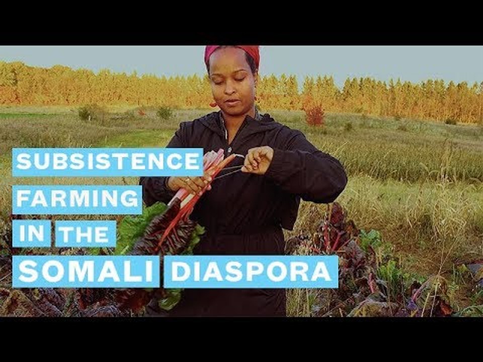 Okayafrica presents: Beeraha Minnesota.