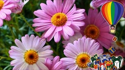 Diy Porta Incenso - Maravilhas Compartilhadas