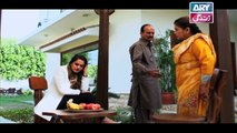 Mein Mehru Hoon Ep 122 & 123 - on ARY Zindagi in High Quality 3rd May 2018