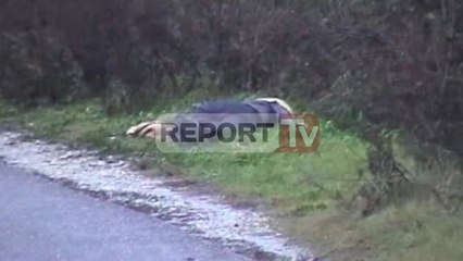 Report TV - Vrasja e Gazmend Çollakut,  ADN-ja rrëzon Prokurorinë