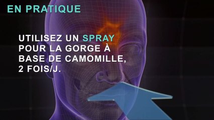 Camomille : 3 vertus santé
