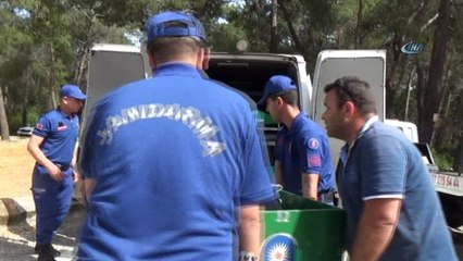 Güney Koreli Şoför, kullandığı araçta ölen arkadaşlarını gözyaşları içinde uğurladı